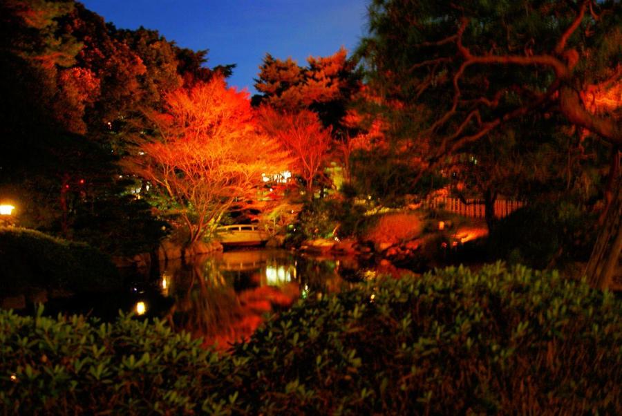 日本庭園