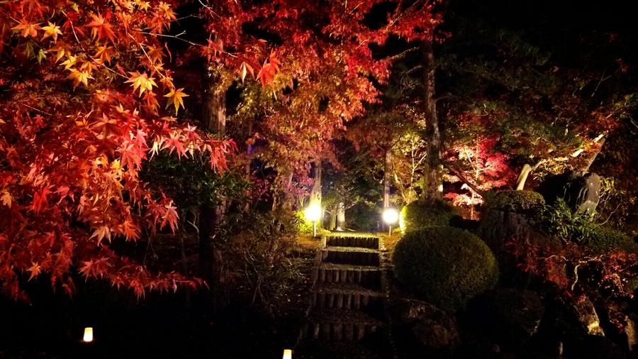 日本庭園
