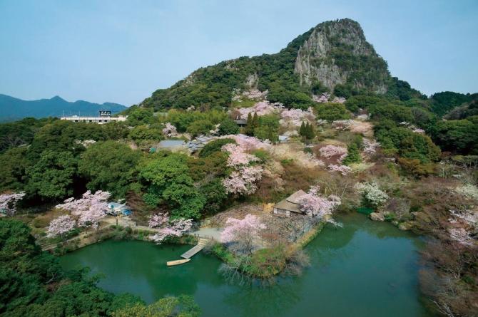日本庭園