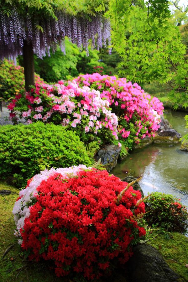 日本庭園