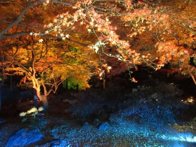 日本庭園