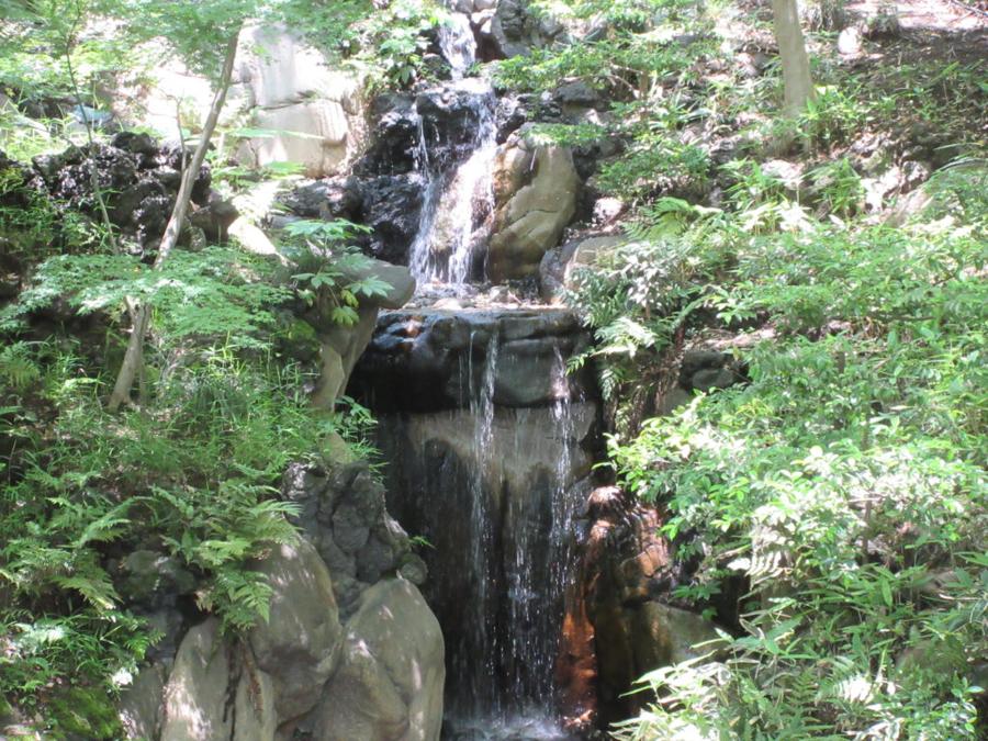 日本庭園