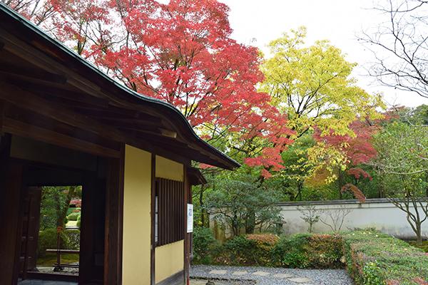 日本庭園