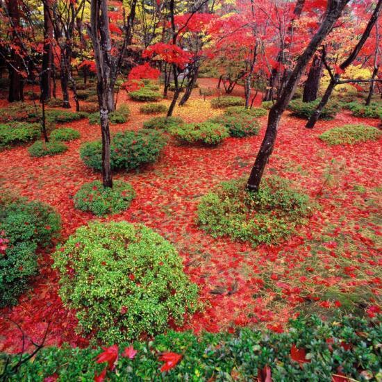 日本庭園