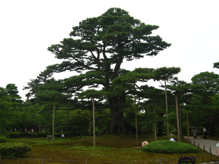日本庭園