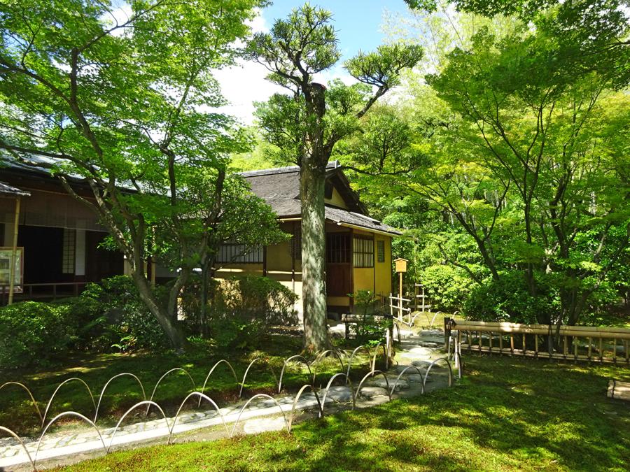 日本庭園