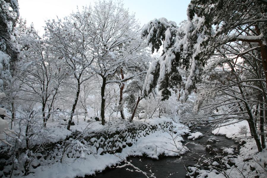 日本庭園