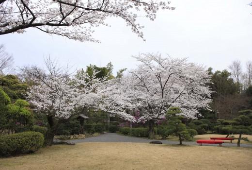 日本庭園