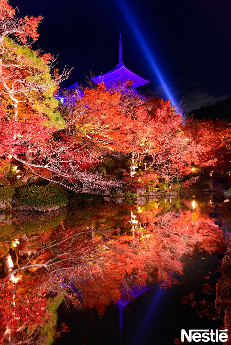 日本庭園