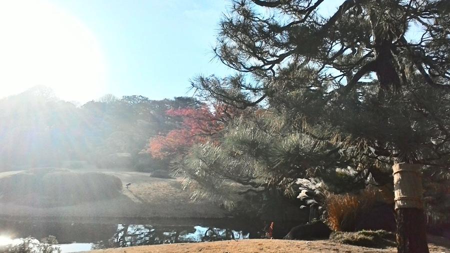 日本庭園