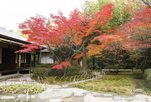 日本庭園
