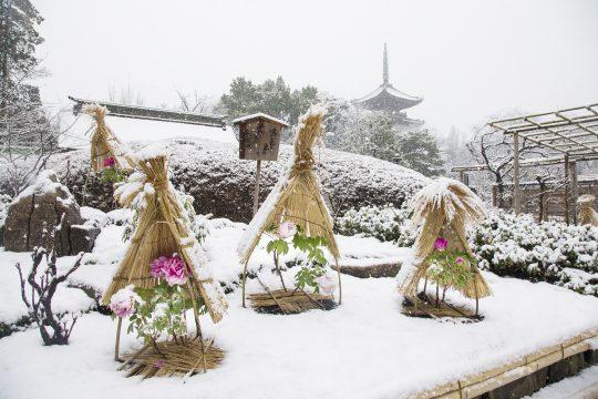 日本庭園