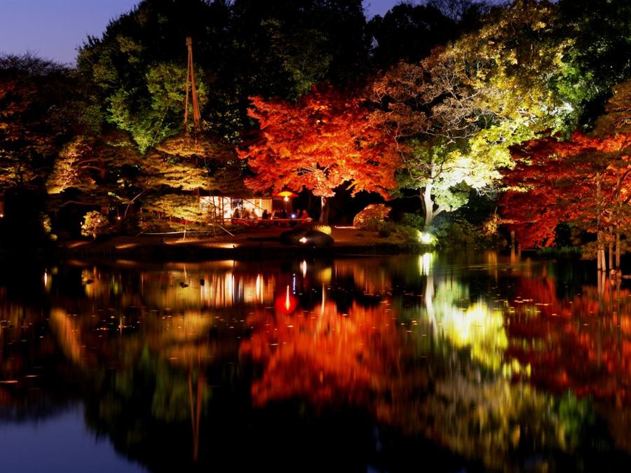 日本庭園