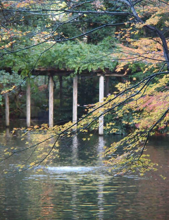 日本庭園