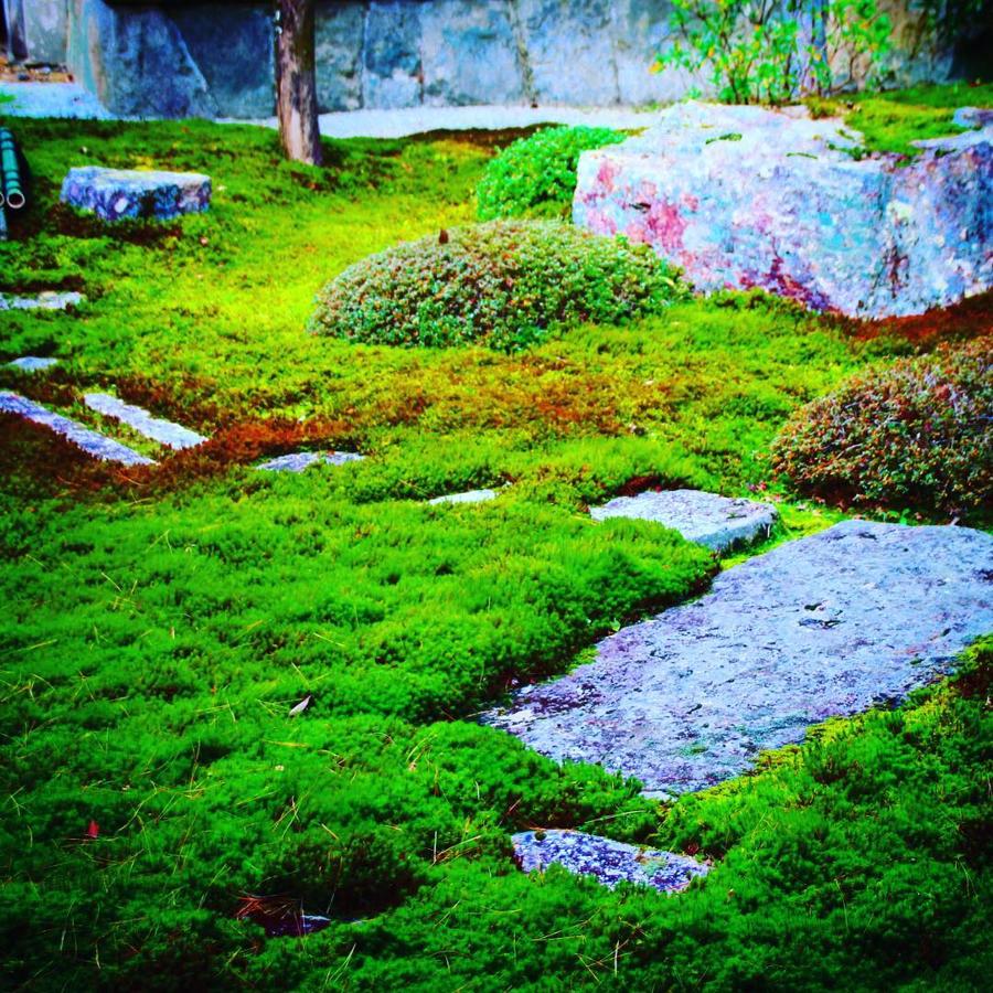 日本庭園