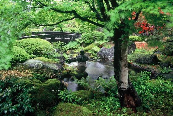 日本庭園