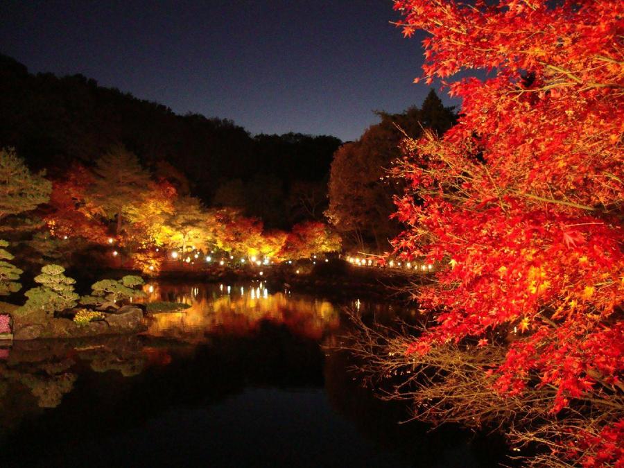 日本庭園