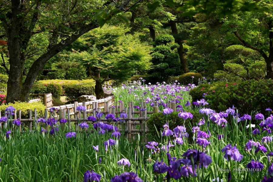 日本庭園
