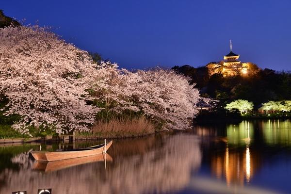 日本庭園