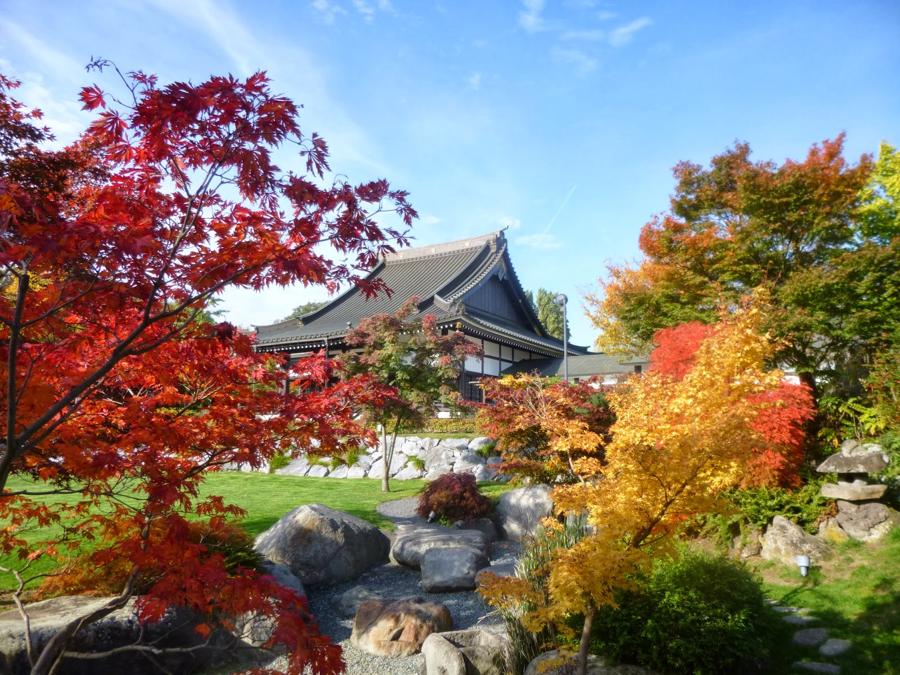 日本庭園