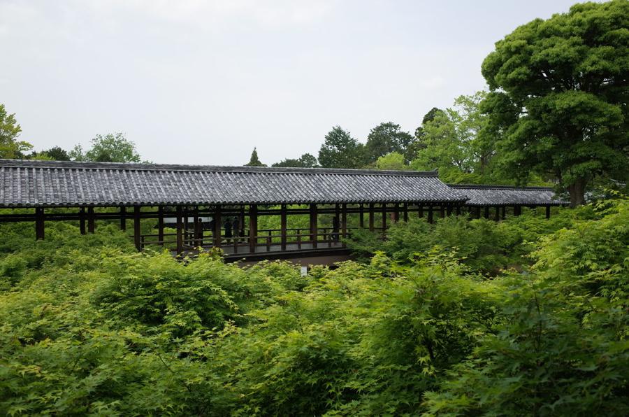 日本庭園