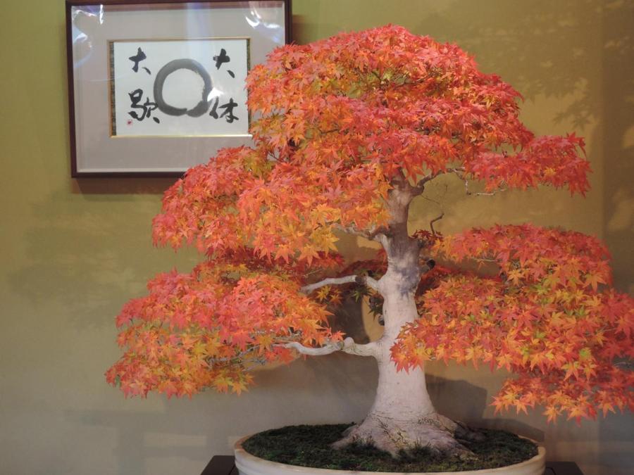 日本庭園