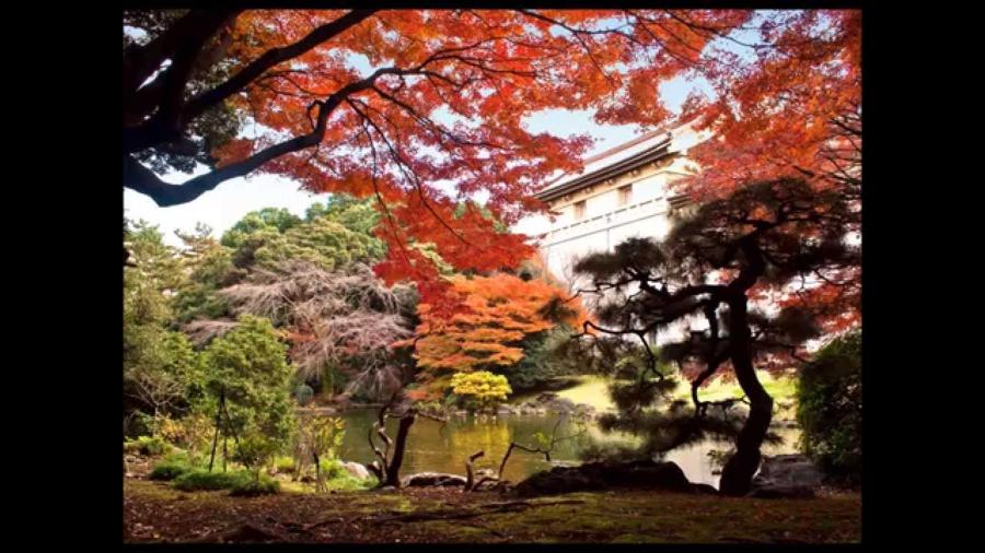 日本庭園