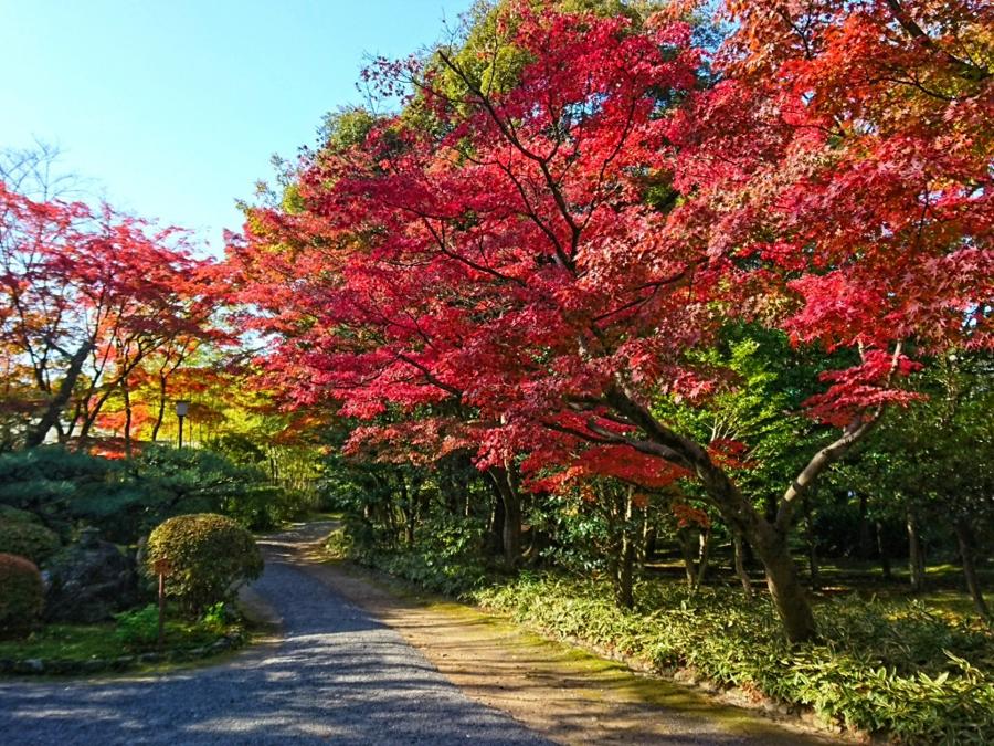 日本庭園