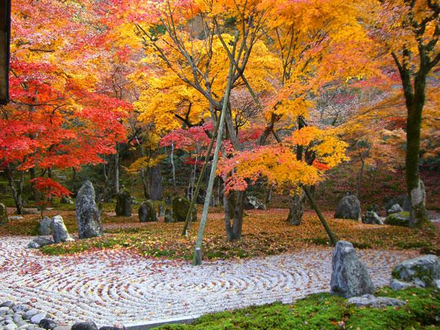 日本庭園