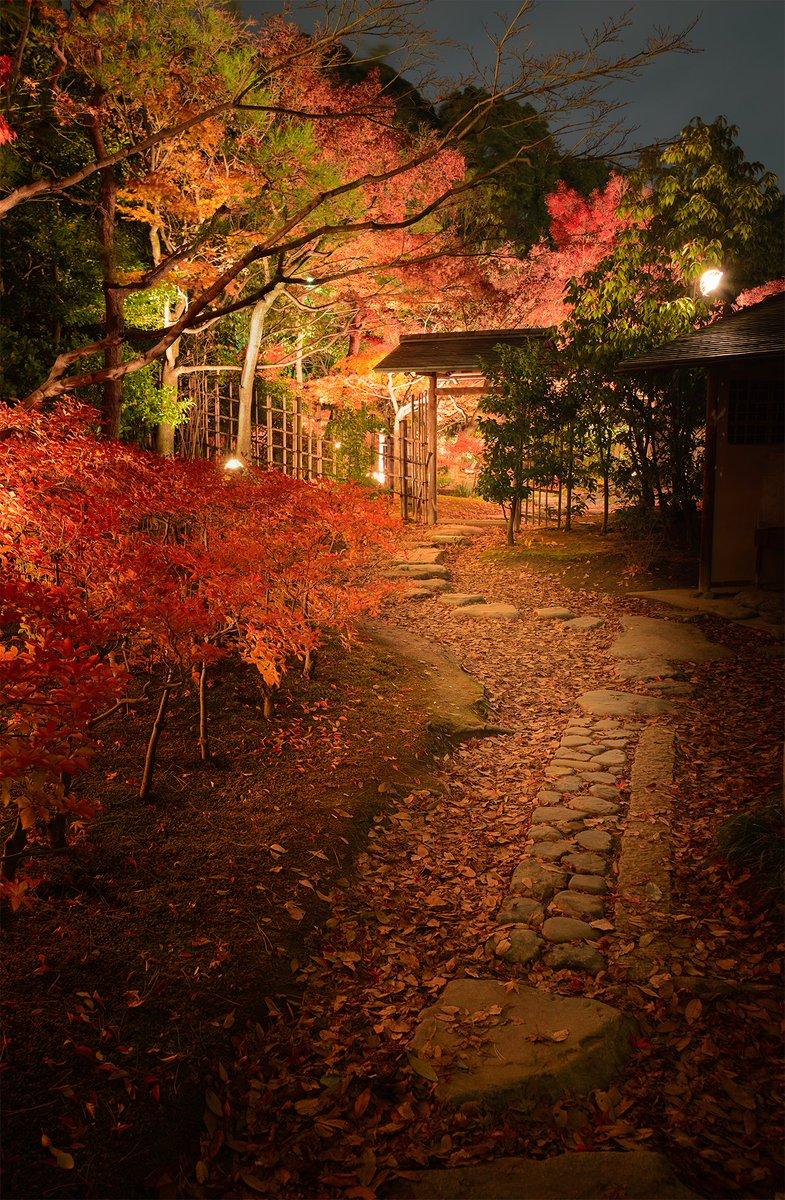 日本庭園