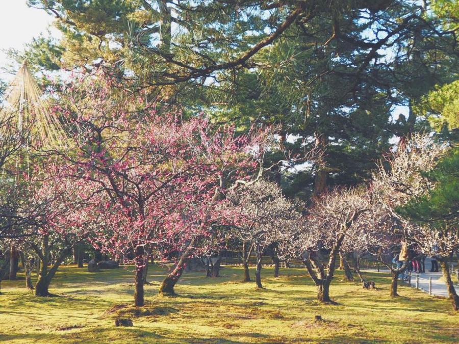 日本庭園