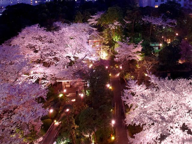 日本庭園