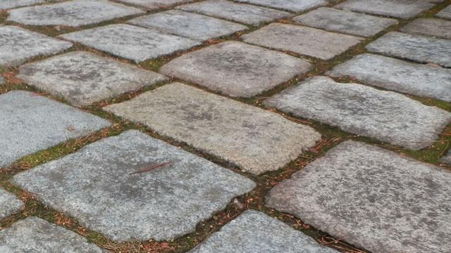 日本庭園