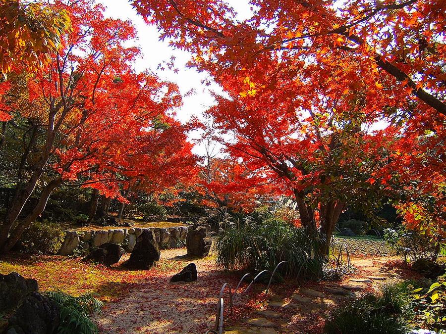 日本庭園