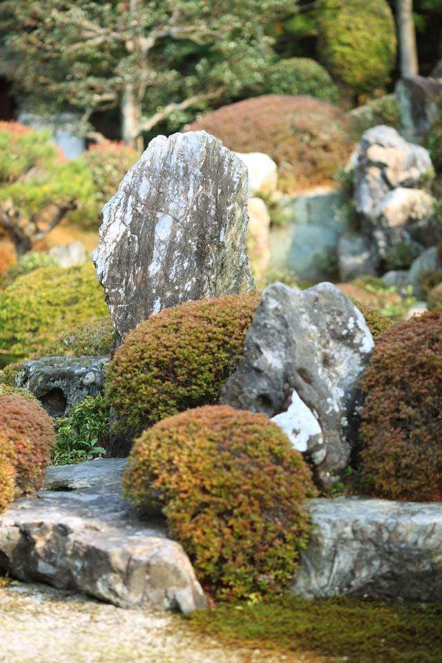 日本庭園