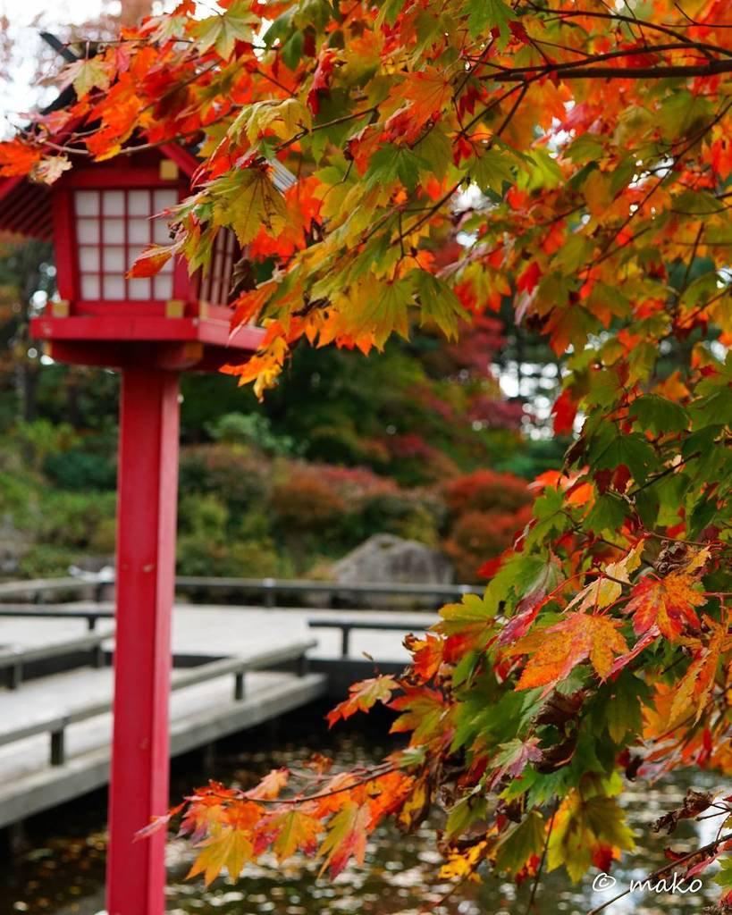 日本庭園