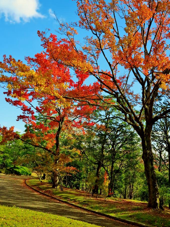 日本庭園
