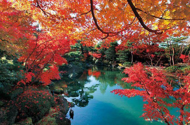 日本庭園