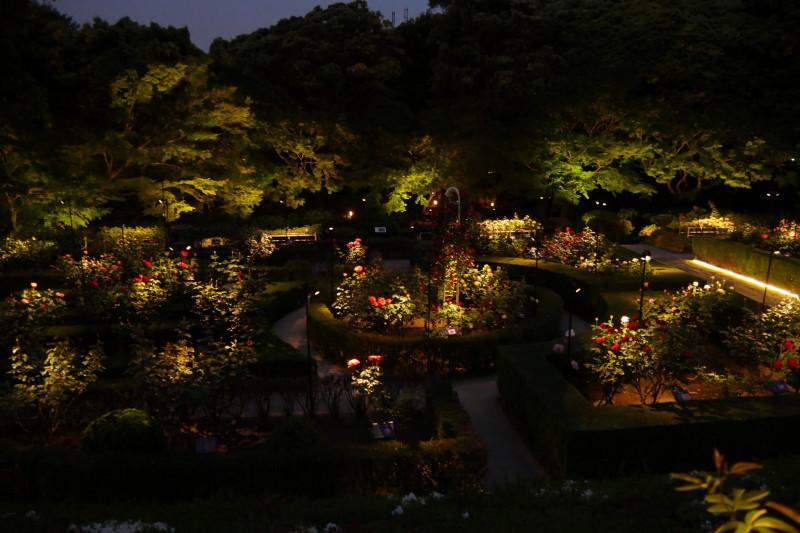 日本庭園