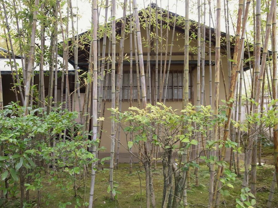 日本庭園