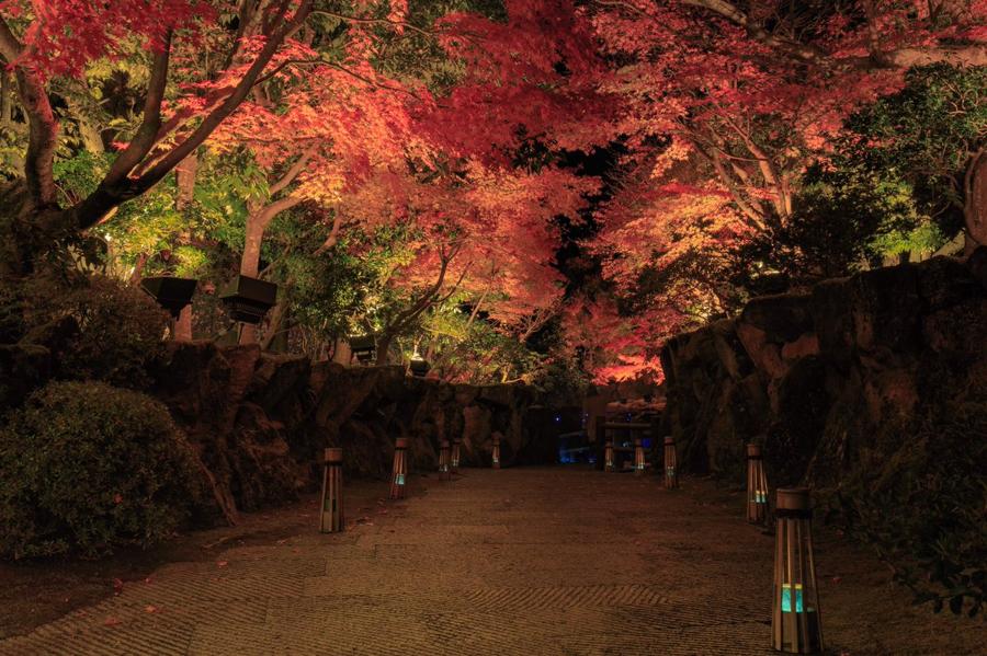 日本庭園