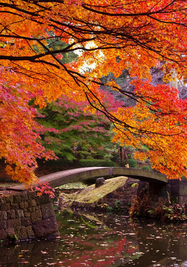 日本庭園