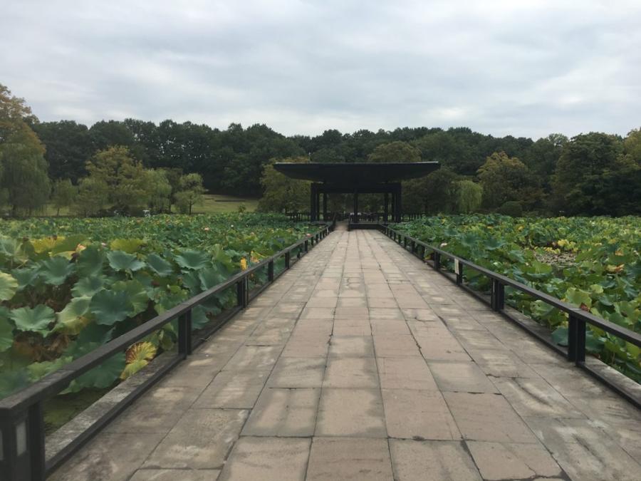 日本庭園