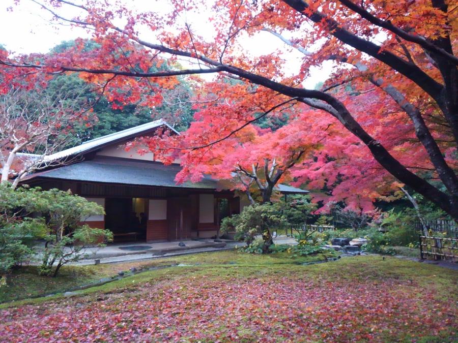 日本庭園