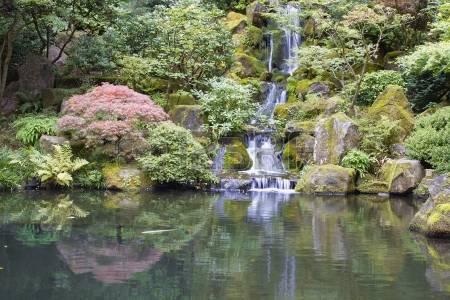 日本庭園