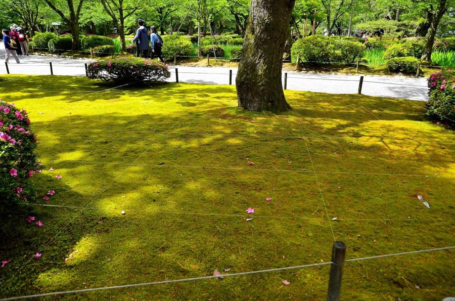 日本庭園