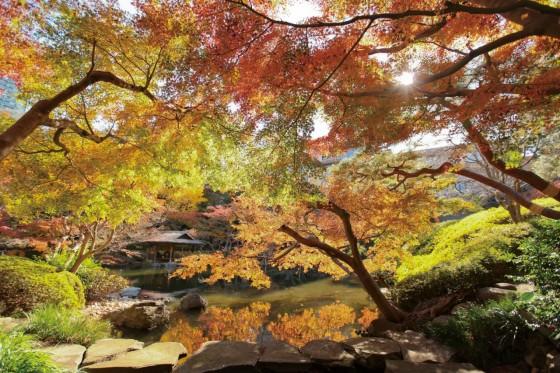 日本庭園