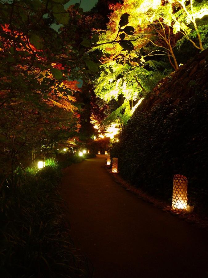 日本庭園