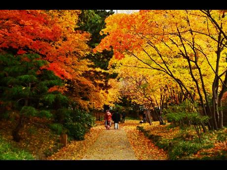 日本庭園