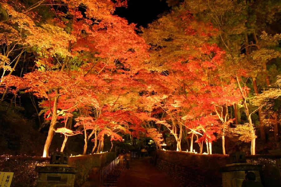 日本庭園